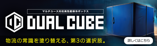 DUAL CUBE