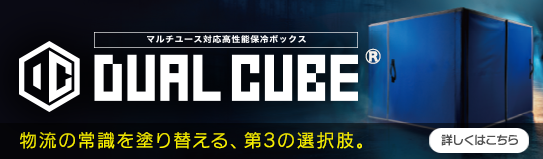 DUAL CUBE
